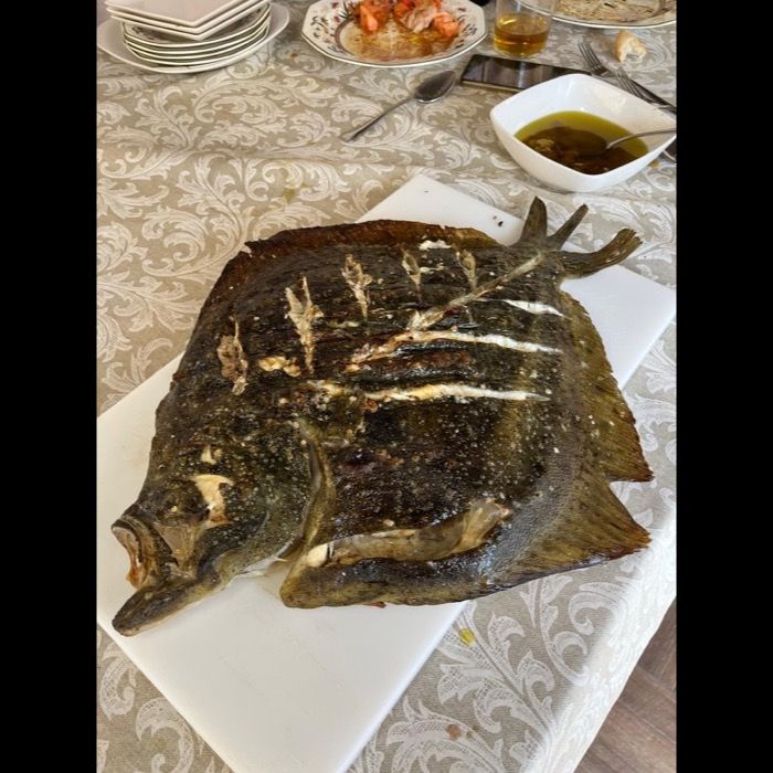 Rodaballo a la brasa en Casa Machín, Écija