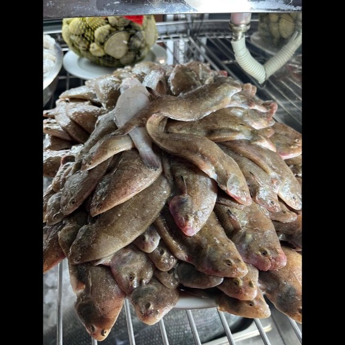 Pescado de lonja en Casa Machín, Écija